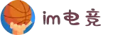 IM(股份有限公司)电竞-电子竞技平台